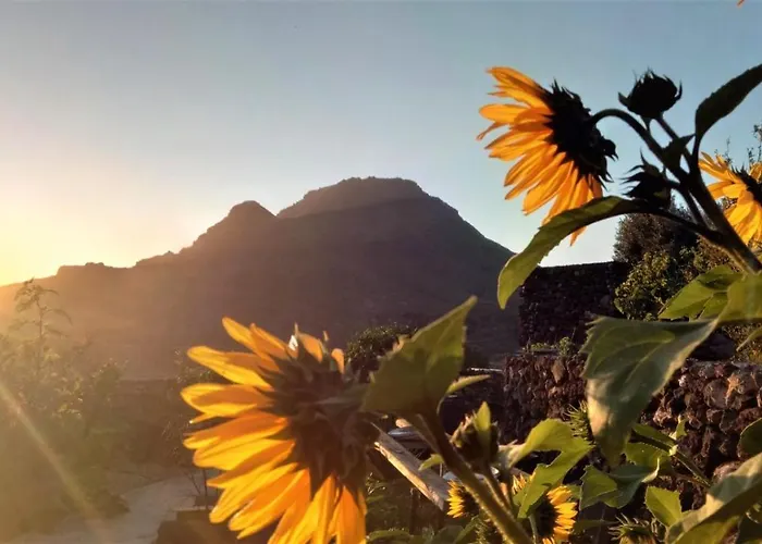 Casa Alta * Arona (Tenerife)